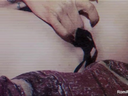 Romi Rain solo masturbation